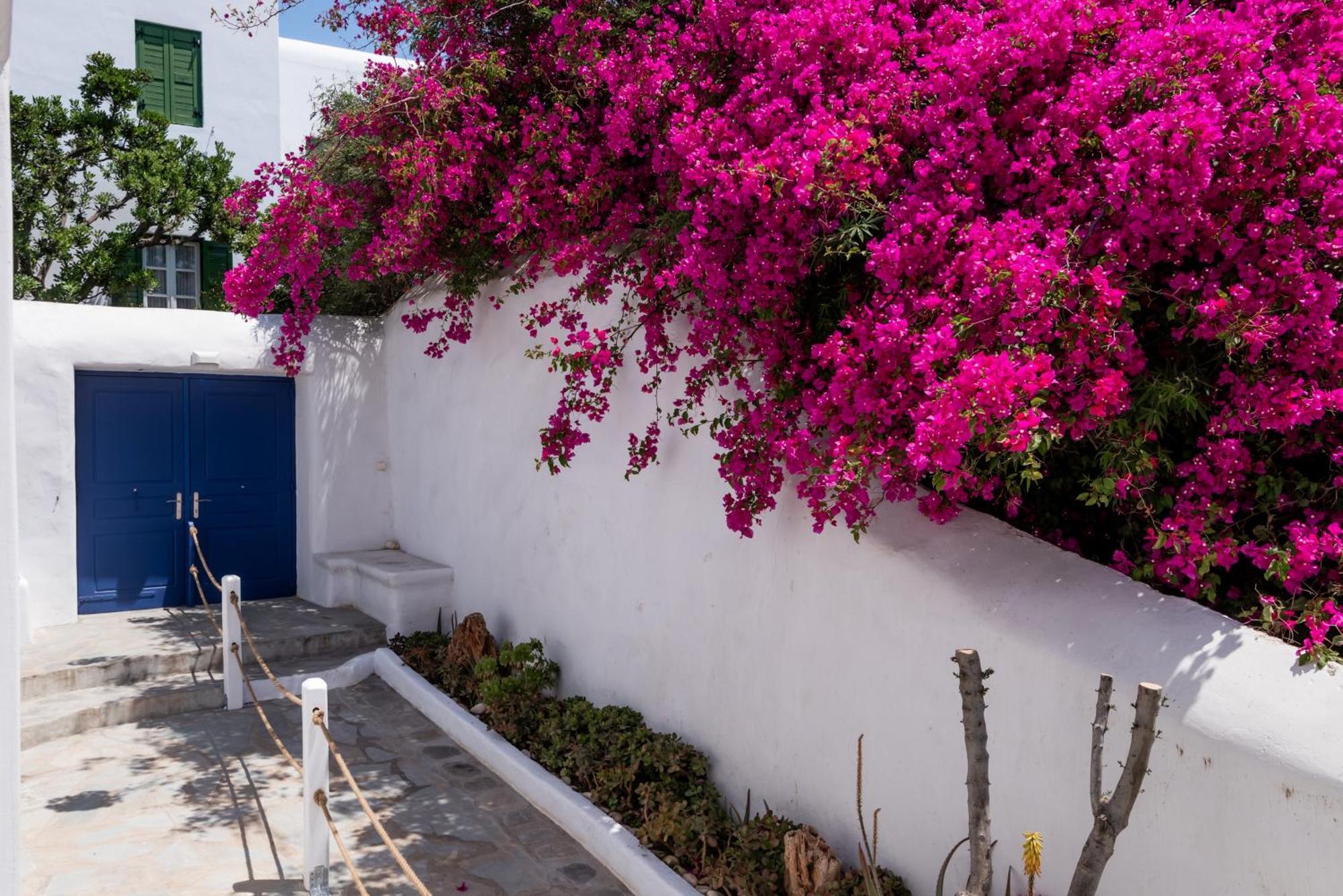 Olive Tree Mykonos Town Semi-Basement Apartment エクステリア 写真
